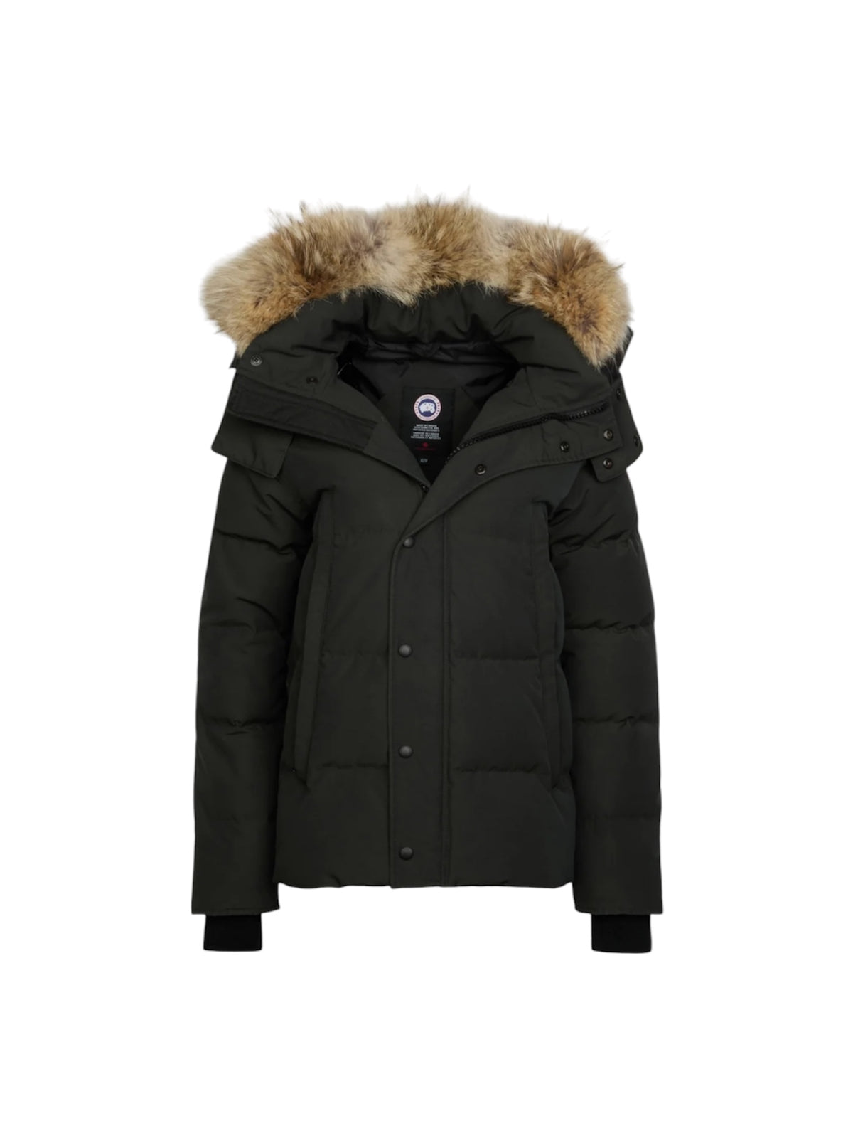 Canada Goose Coat