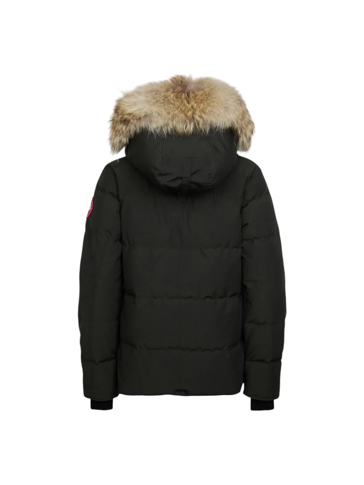 Canada Goose Coat