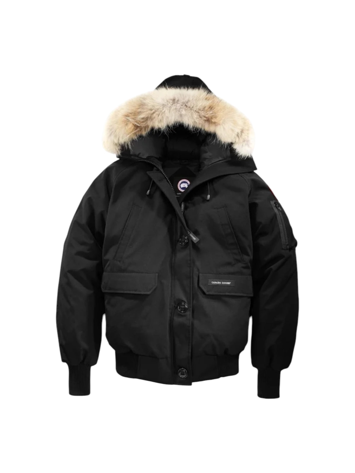 Canada Goose Chilliwack
